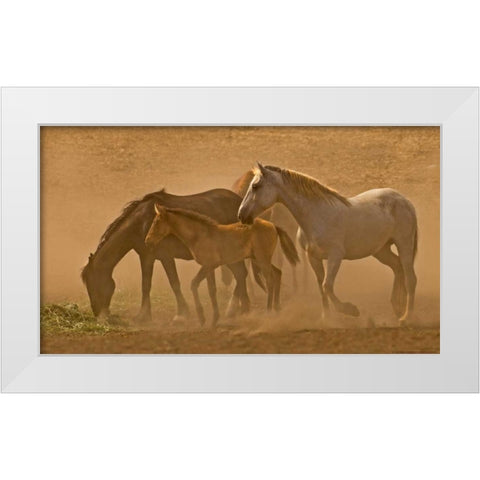 Daybreak White Modern Wood Framed Art Print by Linden, Sally