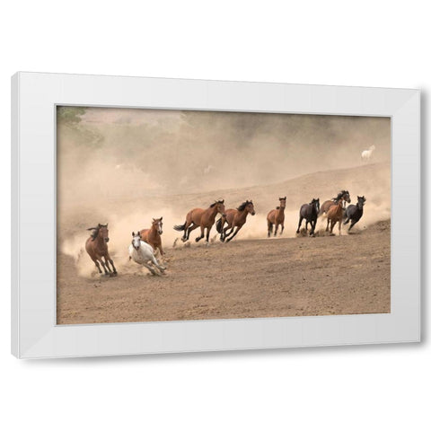 Running Wild White Modern Wood Framed Art Print by Linden, Sally