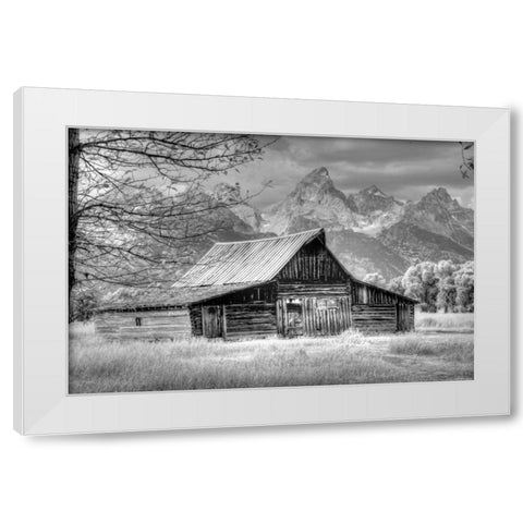 Sign Of The Feather White Modern Wood Framed Art Print by Linden, Sally