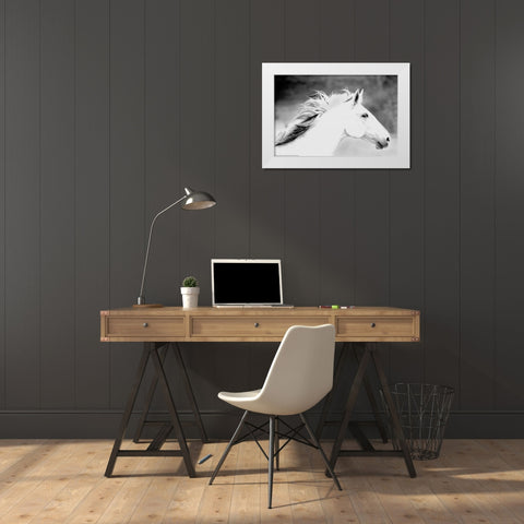 Mane In The Wind White Modern Wood Framed Art Print by Linden, Sally