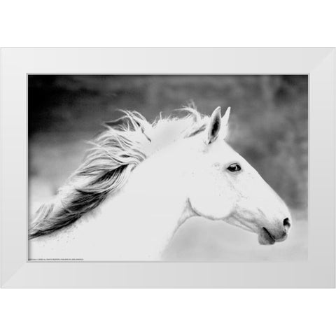 Mane In The Wind White Modern Wood Framed Art Print by Linden, Sally