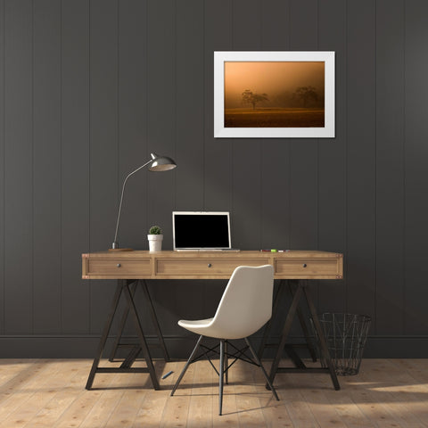 Sun Rising White Modern Wood Framed Art Print by Linden, Sally