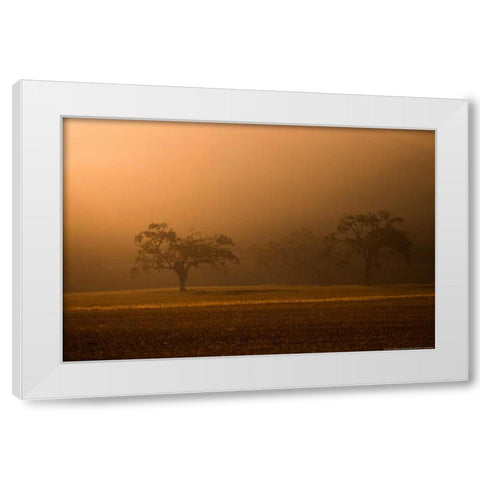 Sun Rising White Modern Wood Framed Art Print by Linden, Sally