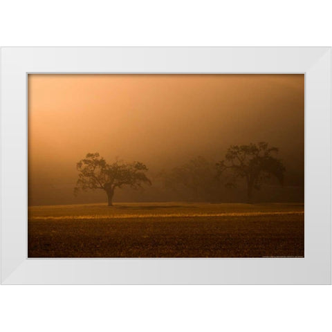 Sun Rising White Modern Wood Framed Art Print by Linden, Sally