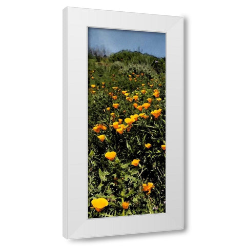 Poppy Stream White Modern Wood Framed Art Print by Linden, Sally