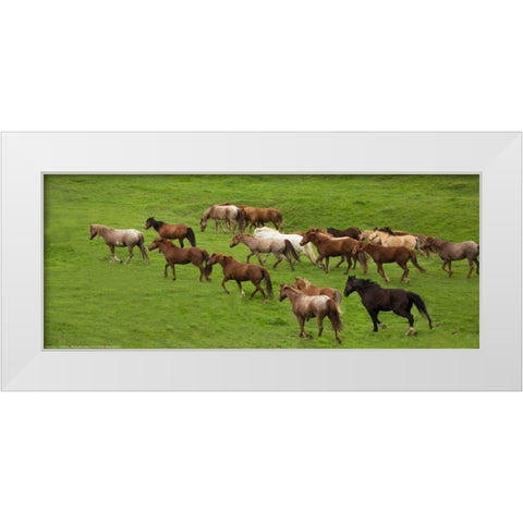 Wild Herd White Modern Wood Framed Art Print by Linden, Sally