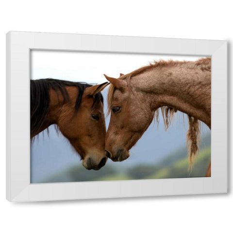 Meadow Two White Modern Wood Framed Art Print by Linden, Sally