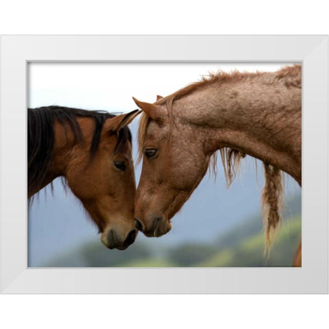 Meadow Two White Modern Wood Framed Art Print by Linden, Sally