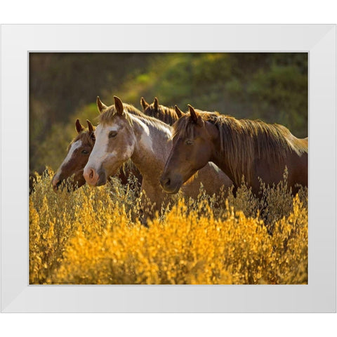 Horses In Gold White Modern Wood Framed Art Print by Linden, Sally