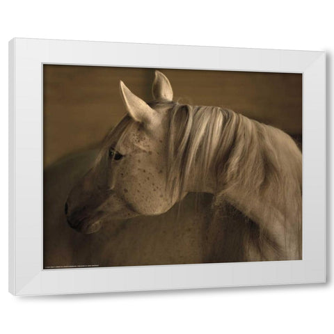 Light At Dusk White Modern Wood Framed Art Print by Linden, Sally