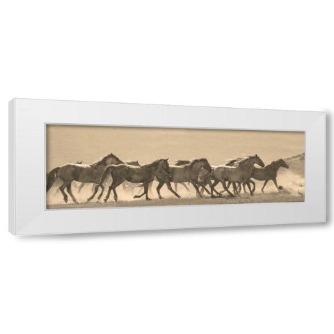 Horse Parade White Modern Wood Framed Art Print by Linden, Sally