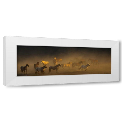 Way To Go White Modern Wood Framed Art Print by Linden, Sally