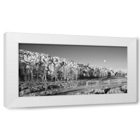 Aspens Moon White Modern Wood Framed Art Print by Linden, Sally