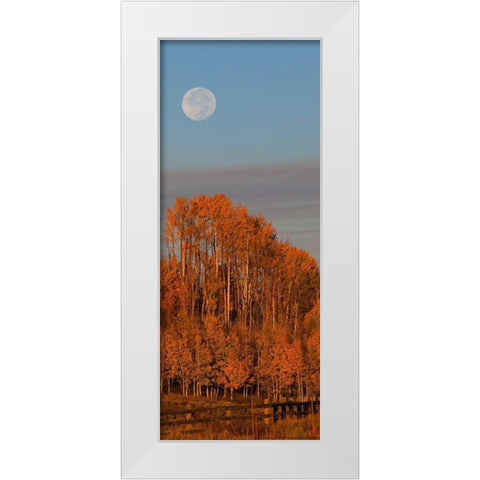 Fall Trees Moon 1 White Modern Wood Framed Art Print by Linden, Sally