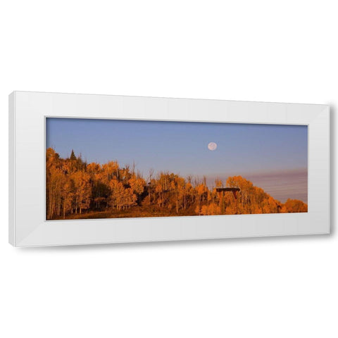 Fall Trees Moon 2 White Modern Wood Framed Art Print by Linden, Sally