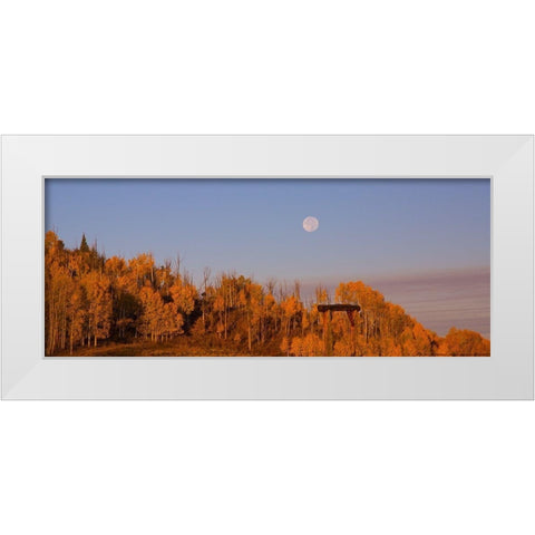 Fall Trees Moon 2 White Modern Wood Framed Art Print by Linden, Sally