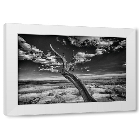 Desert Tree White Modern Wood Framed Art Print by Linden, Sally