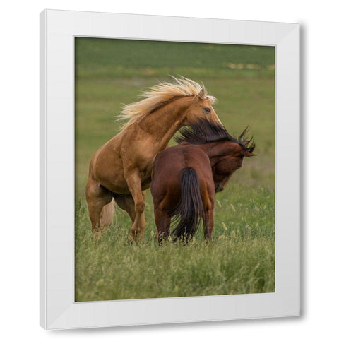 Horse Play White Modern Wood Framed Art Print by Linden, Sally