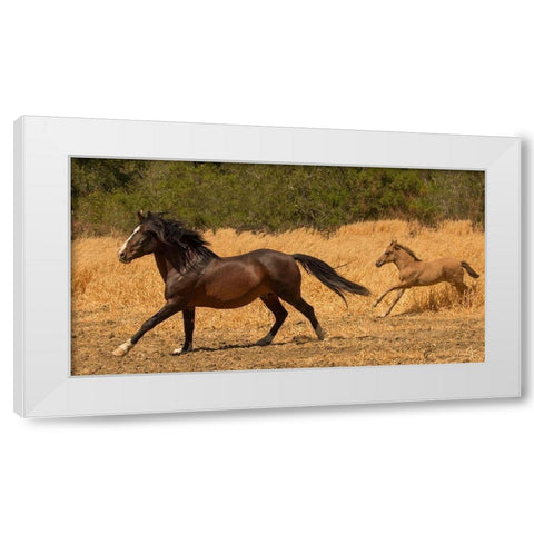 Amante and Amber White Modern Wood Framed Art Print by Linden, Sally