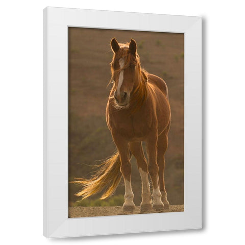 Blowing In The Wind White Modern Wood Framed Art Print by Linden, Sally