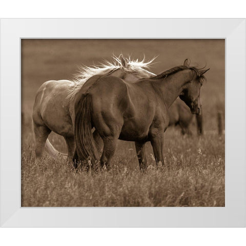 Horse Walk White Modern Wood Framed Art Print by Linden, Sally