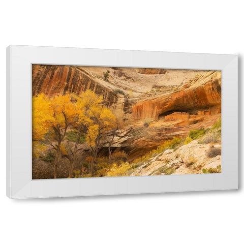 Anastzi Homeland White Modern Wood Framed Art Print by Linden, Sally