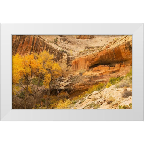 Anastzi Homeland White Modern Wood Framed Art Print by Linden, Sally