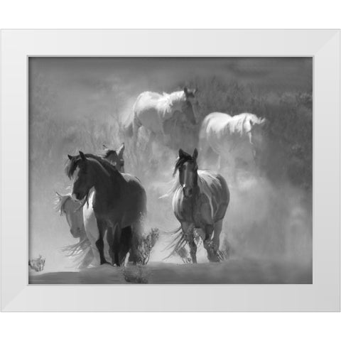 Choctaw Run White Modern Wood Framed Art Print by Linden, Sally