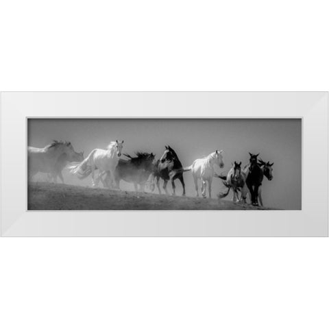 Choctaw BW White Modern Wood Framed Art Print by Linden, Sally
