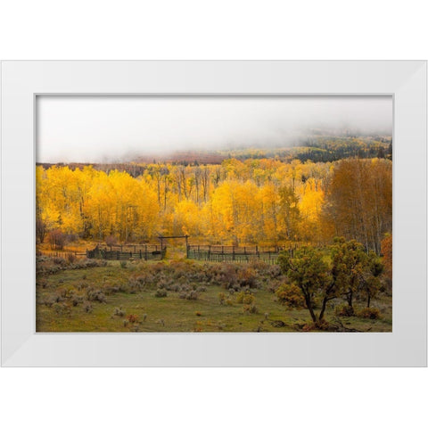 Fall and Fog White Modern Wood Framed Art Print by Linden, Sally