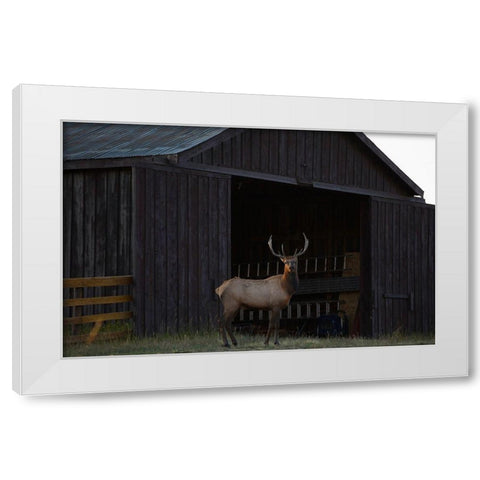 Eat Your Heart Out Hunters White Modern Wood Framed Art Print by Linden, Sally