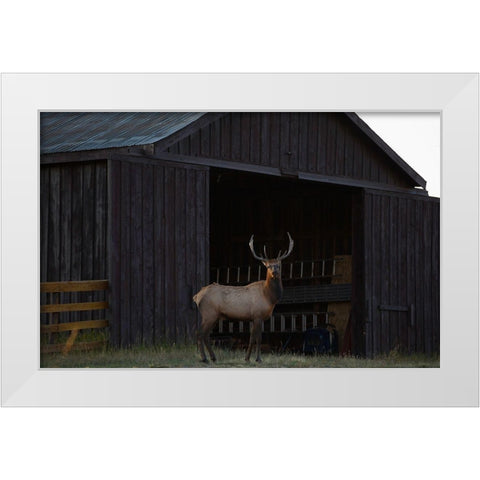 Eat Your Heart Out Hunters White Modern Wood Framed Art Print by Linden, Sally