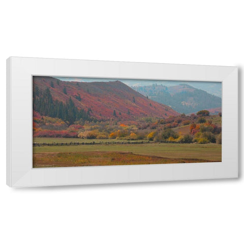 Fall and Sheep White Modern Wood Framed Art Print by Linden, Sally