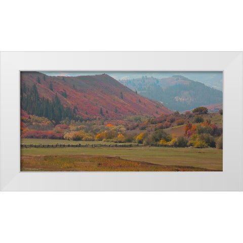 Fall and Sheep White Modern Wood Framed Art Print by Linden, Sally