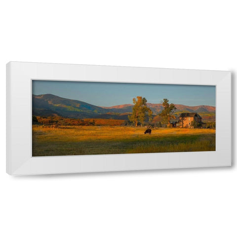 Fall Grazing White Modern Wood Framed Art Print by Linden, Sally
