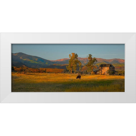 Fall Grazing White Modern Wood Framed Art Print by Linden, Sally
