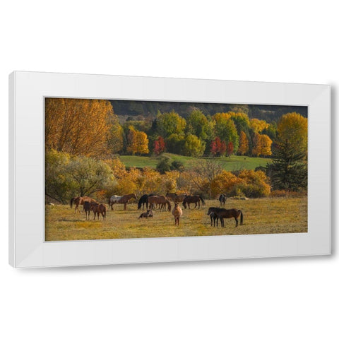 Perfect Life White Modern Wood Framed Art Print by Linden, Sally