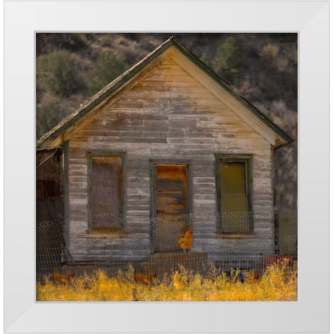 Rooster House White Modern Wood Framed Art Print by Linden, Sally