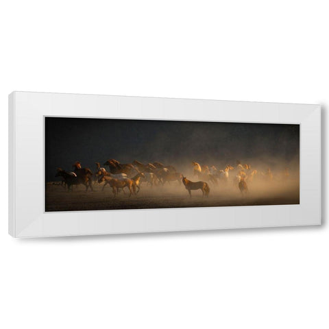 Wild Horses White Modern Wood Framed Art Print by Linden, Sally