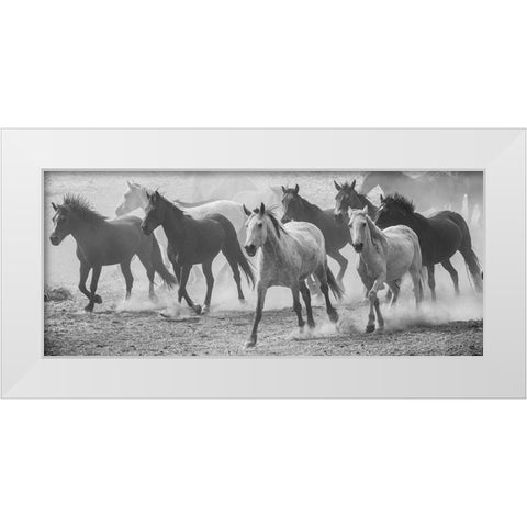 Running Wild White Modern Wood Framed Art Print by Linden, Sally