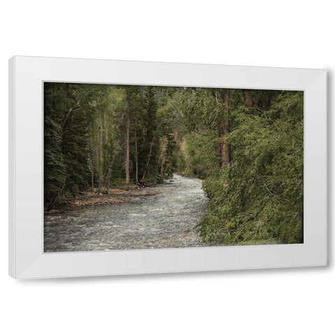 Winding River White Modern Wood Framed Art Print by Linden, Sally