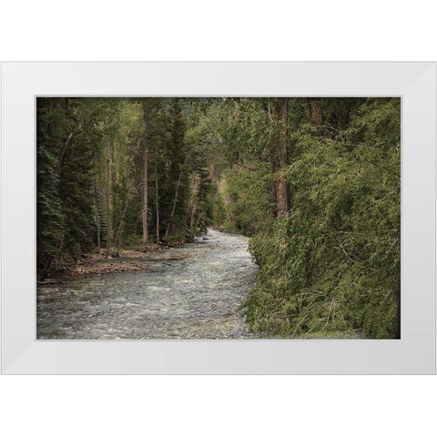 Winding River White Modern Wood Framed Art Print by Linden, Sally