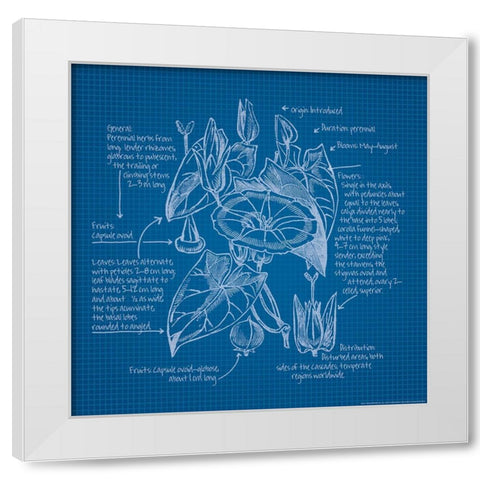 Blueprints 3 White Modern Wood Framed Art Print by Nobleworks, Inc.