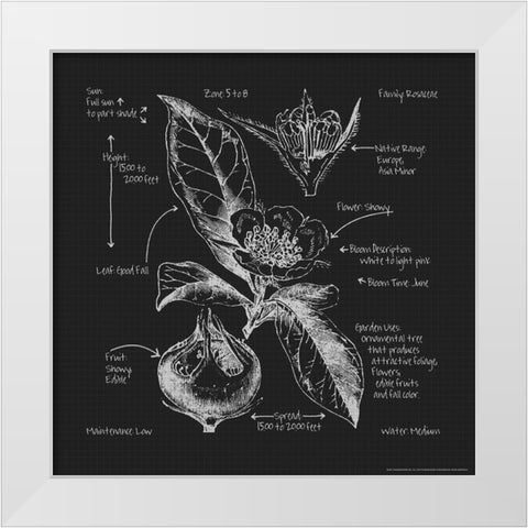 Blueprints 8 White Modern Wood Framed Art Print by Nobleworks, Inc.