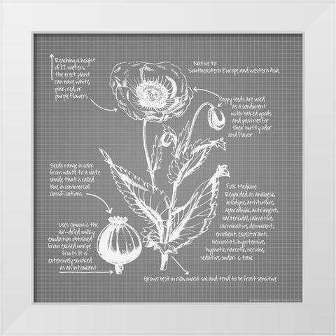 Blueprints 9 White Modern Wood Framed Art Print by Nobleworks, Inc.