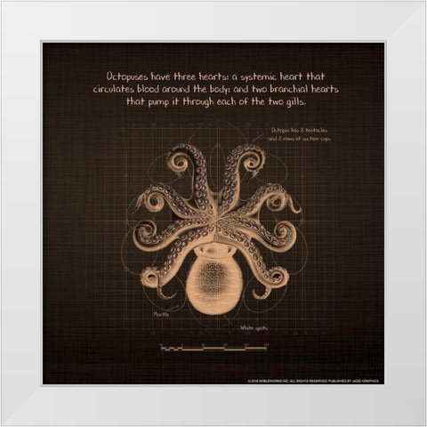 Octoprint 1 White Modern Wood Framed Art Print by Nobleworks, Inc.