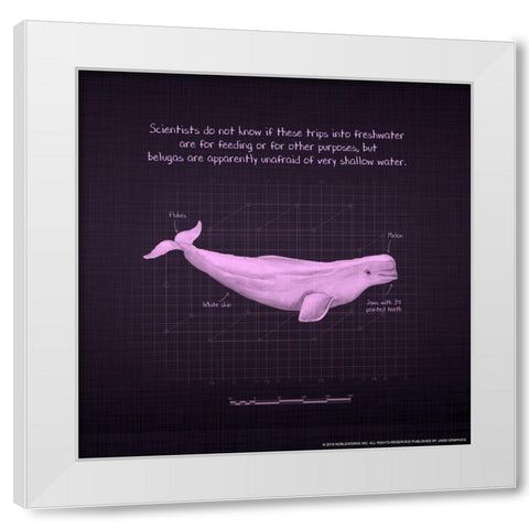Whaleprint 1 White Modern Wood Framed Art Print by Nobleworks, Inc.