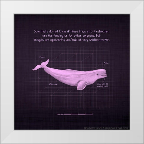 Whaleprint 1 White Modern Wood Framed Art Print by Nobleworks, Inc.