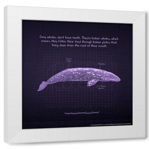 Whaleprint 2 White Modern Wood Framed Art Print by Nobleworks, Inc.