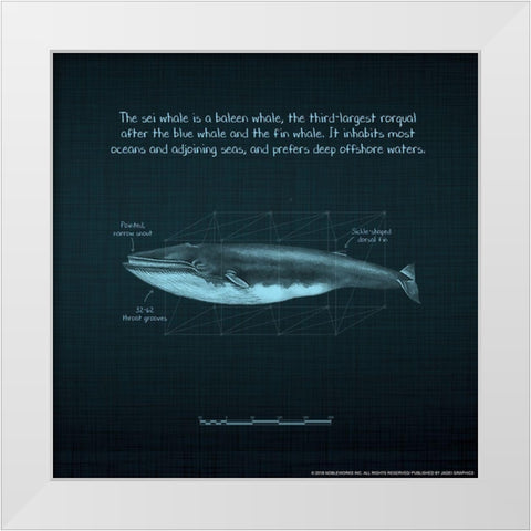 Whaleprint 3 White Modern Wood Framed Art Print by Nobleworks, Inc.